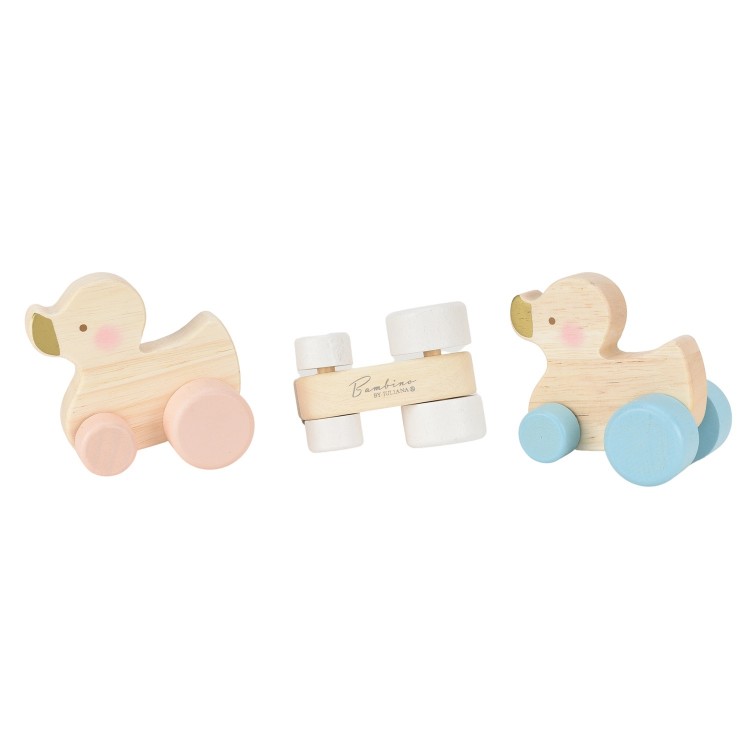 Classic Wooden Push Along