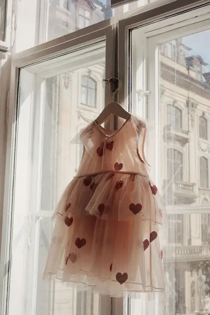 Gold Love Heart Tulle Party Dress - Image 3