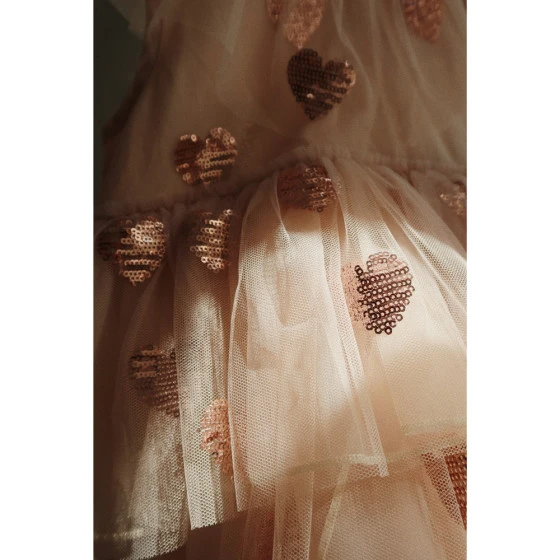 Gold Love Heart Tulle Party Dress - Image 8